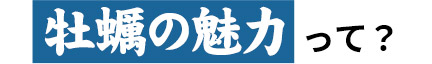 牡蠣の魅力って?