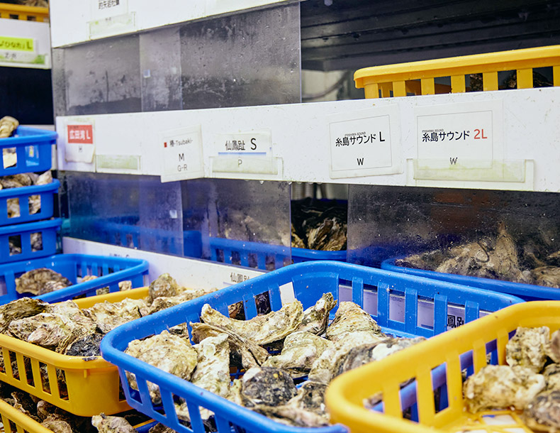 冷蔵庫